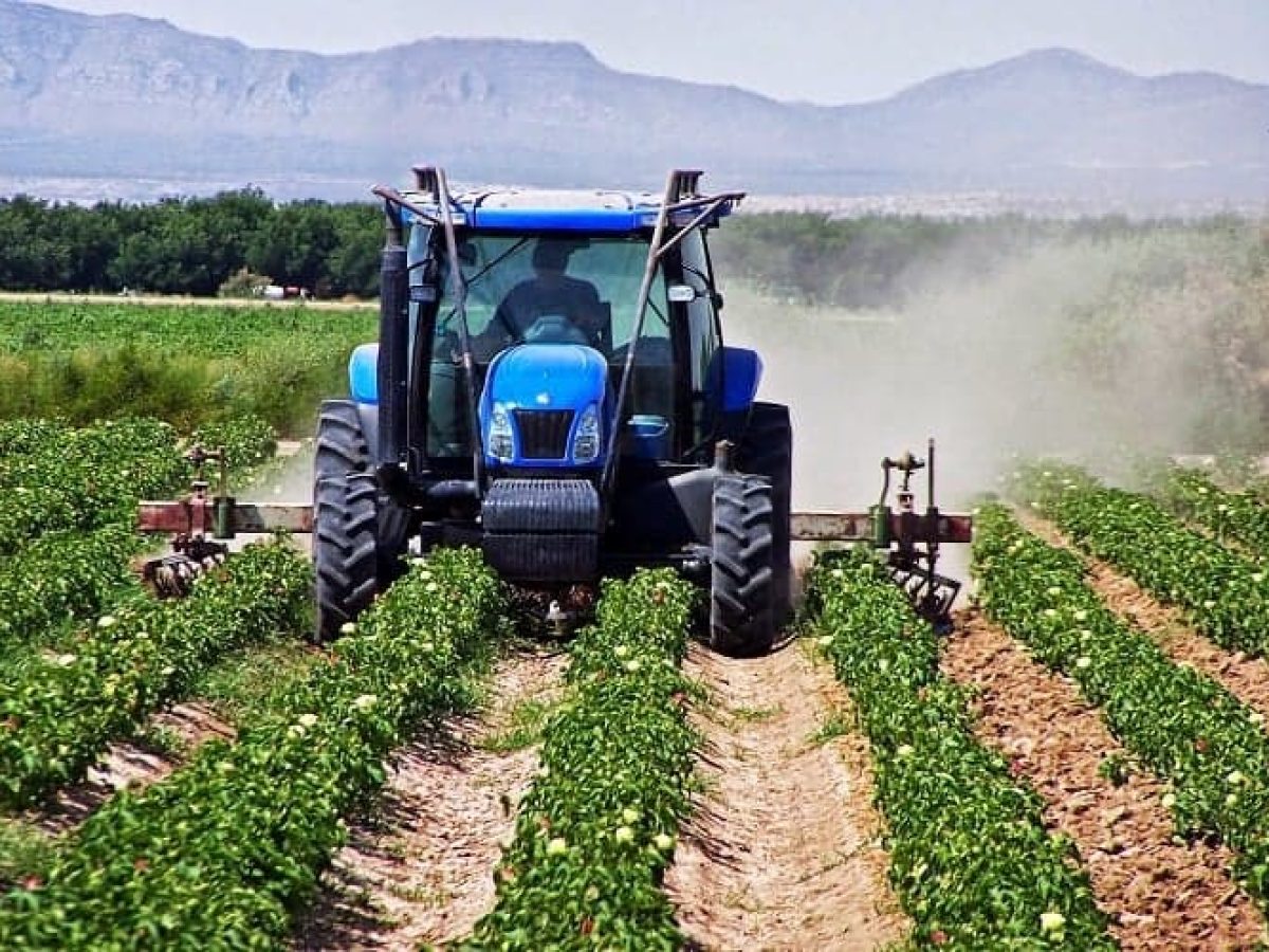 Στην τελική ευθεία οι αγροτικές πληρωμές μετά την έγκριση του σχεδίου από την Κομισιόν