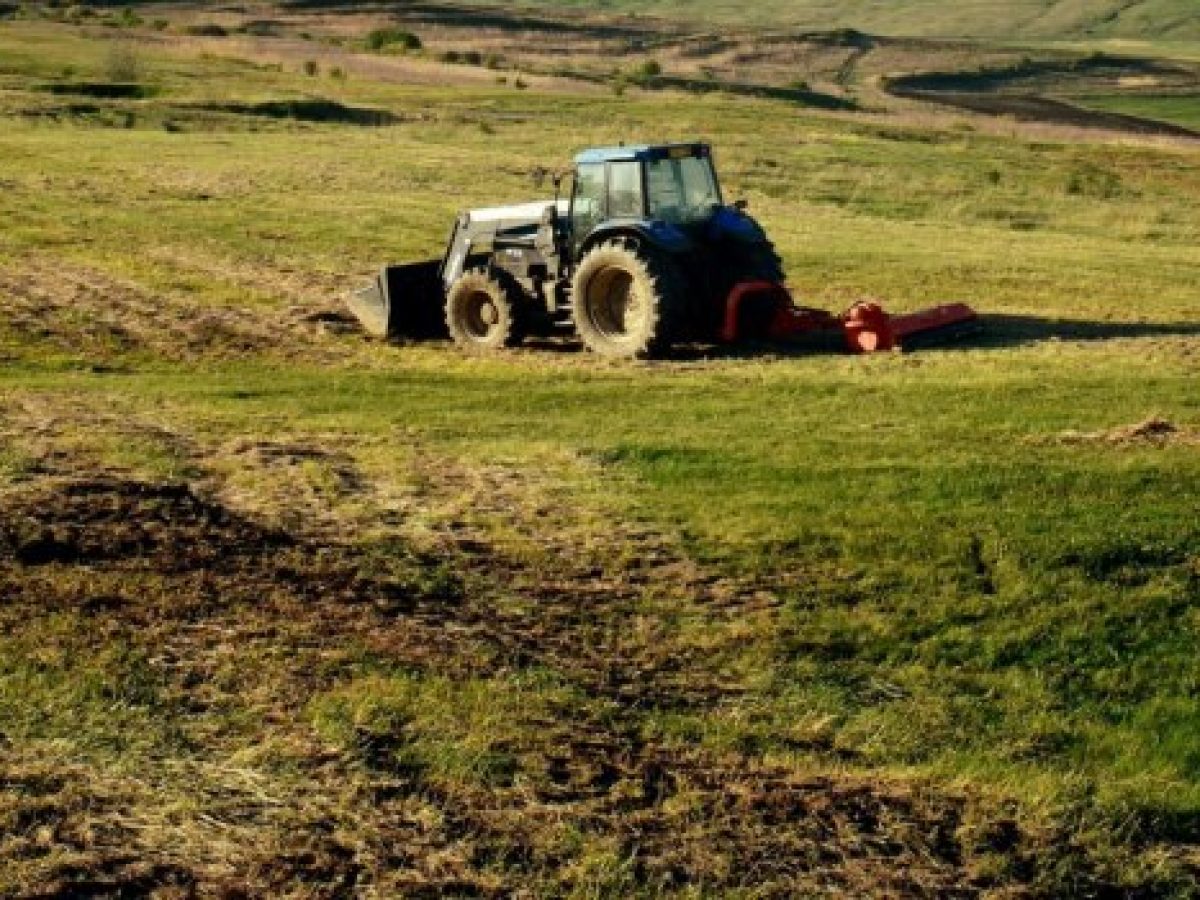 ΟΠΕΚΕΠΕ: Εγκρίθηκε το Action Plan 2 και «απελευθερώνονται οι πληρωμές των αγροτών» – Ασαφές το ακριβές χρονοδιάγραμμα