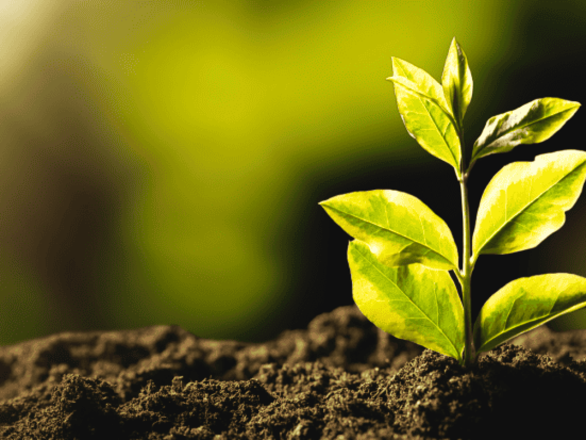 ΔΕΛΤΑ: Ανάπτυξη με επίκεντρο τον άνθρωπο