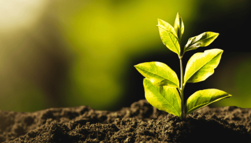 ΔΕΛΤΑ: Ανάπτυξη με επίκεντρο τον άνθρωπο