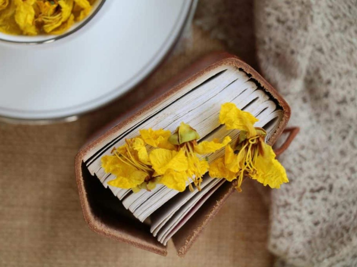 Voucher βιβλίων ΔΥΠΑ 2025: Πότε λήγει η προθεσμία