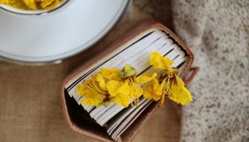 Voucher βιβλίων ΔΥΠΑ 2025: Πότε λήγει η προθεσμία