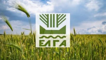 ΕΛΓΑ: Προκαταβολή 35,1 εκατ. ευρώ για ζημιές φυτικού κεφαλαίου