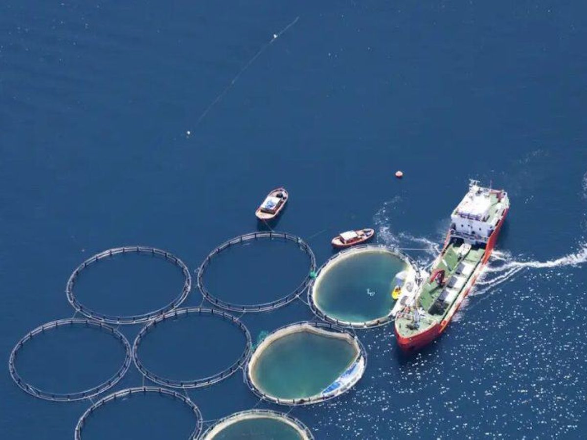 Υδατοκαλλιέργειες: Κατά 10,2% μειώθηκε η παραγωγή το 2024