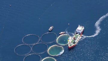 Υδατοκαλλιέργειες: Κατά 10,2% μειώθηκε η παραγωγή το 2024