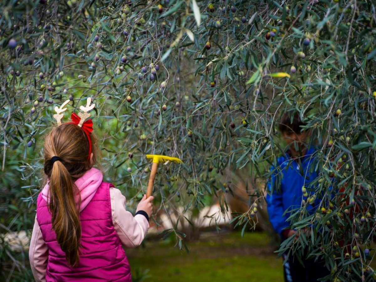 Οι Μικροί Ήρωες μαθαίνουν από την Stoiximan, συνεχίζουν να μας εμπνέουν με τις δράσεις τους και το 2026