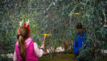 Οι Μικροί Ήρωες μαθαίνουν από την Stoiximan, συνεχίζουν να μας εμπνέουν με τις δράσεις τους και το 2026