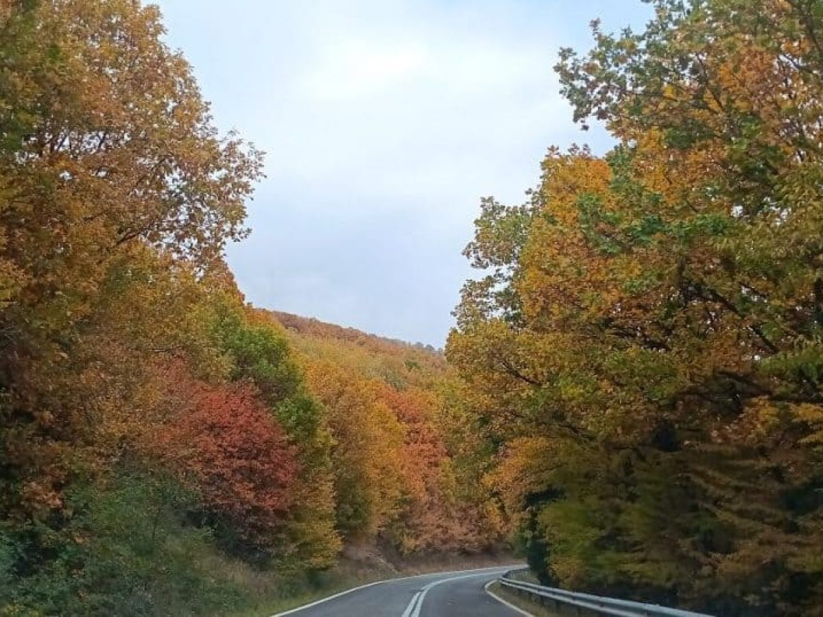 Κοινωνικός Τουρισμός ΔΥΠΑ: Σε ποιους προορισμούς μπορείτε να ταξιδέψετε με voucher