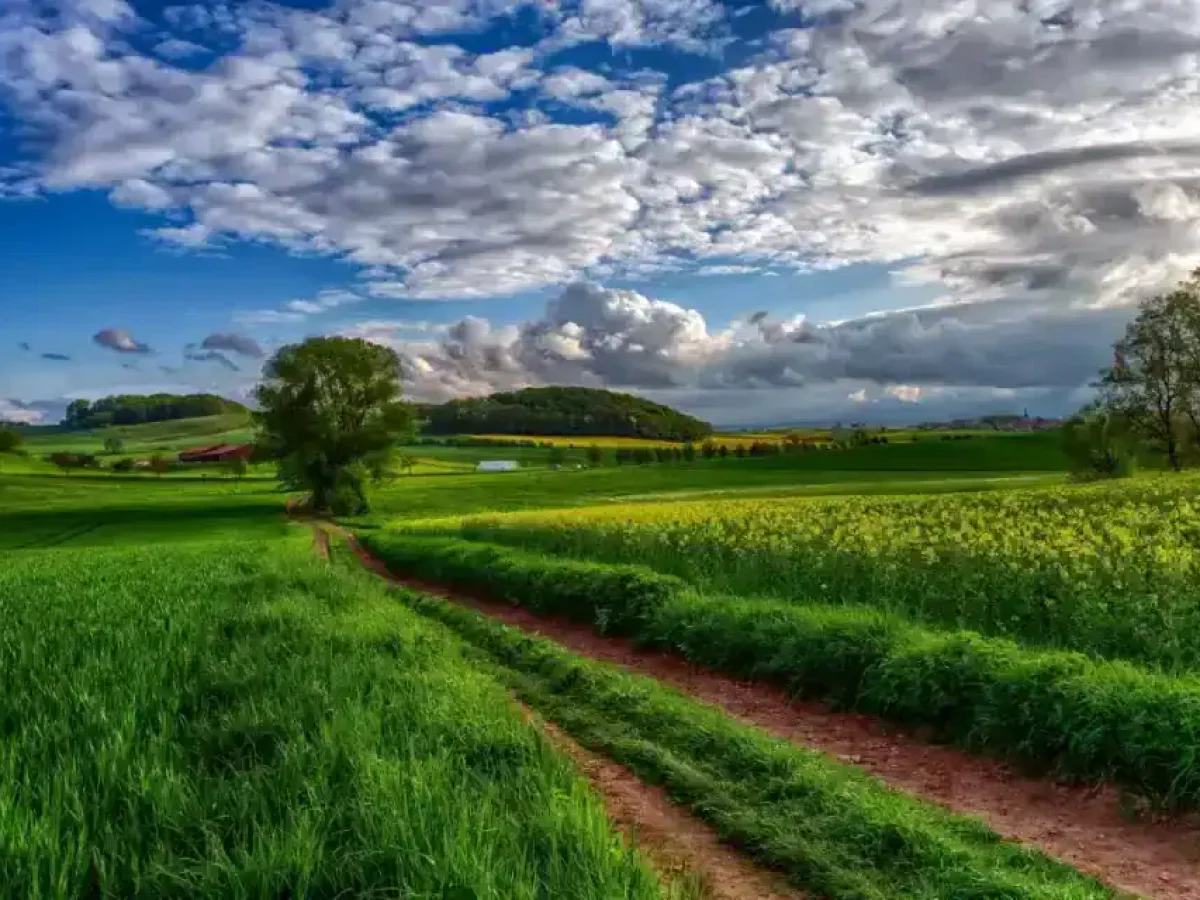 ΑΑΔΕ: Ερευνόνται 3.000 αγρότες για μαζικές εγγραφές και διαγραφές αγρών στο Ε9 μέσα στο 2025