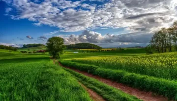 ΑΑΔΕ: Ερευνόνται 3.000 αγρότες για μαζικές εγγραφές και διαγραφές αγρών στο Ε9 μέσα στο 2025