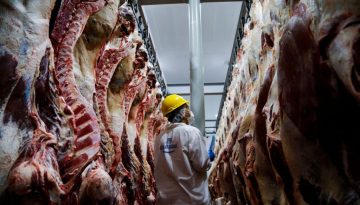 Ε.Ε. – Mercosur: Σήμερα η υπογραφή της ιστορικής συμφωνία