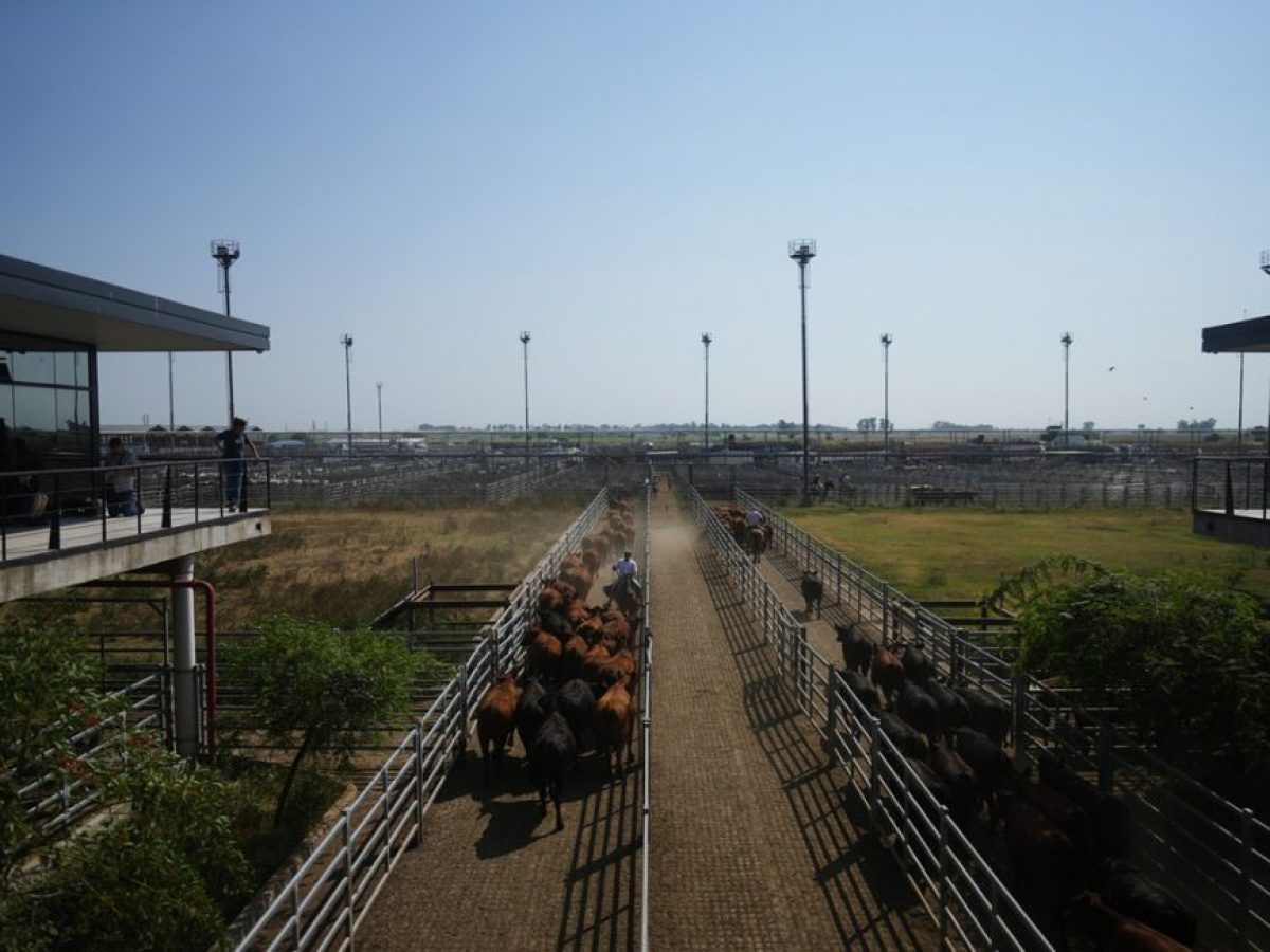 Σήμερα υπογράφεται η ιστορική συμφωνία Ευρωπαϊκής Ένωσης – Mercosur στην Ασουνσιόν της Παραγουάης