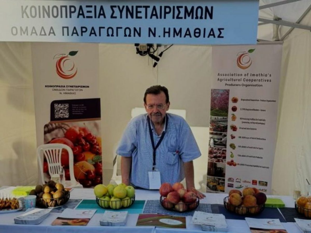 Το ελληνικό ακτινίδιο ετοιμάζεται για τις αγορές της Ιαπωνίας και του Μεξικού