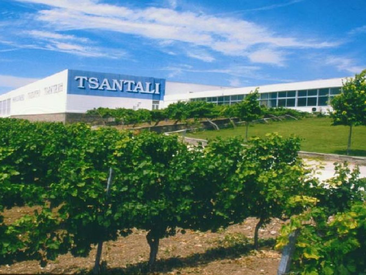 Τσάνταλης: Επίσημα πτώχευση για την οινοποιία – Στο στόχαστρο αγοράς από Αντετοκούνμπο και Γεωργιάδη