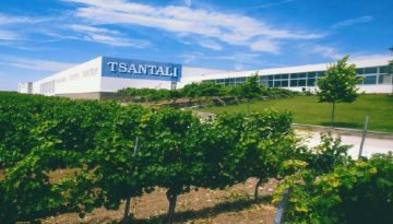 Τσάνταλης: Επίσημα πτώχευση για την οινοποιία – Στο στόχαστρο αγοράς από Αντετοκούνμπο και Γεωργιάδη