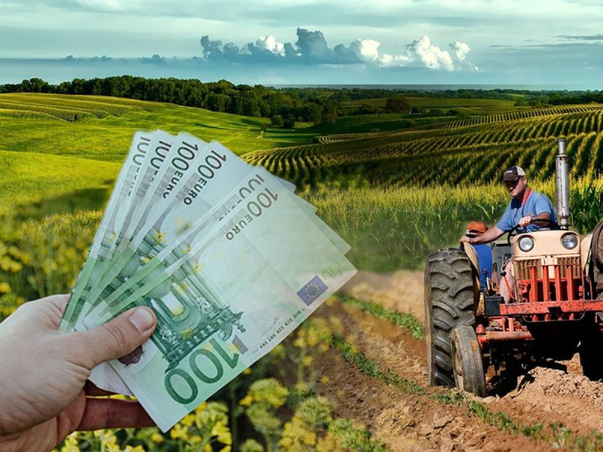 Αγροτικές ενισχύσεις: Πληρωμές 27,8 εκατ. ευρώ σε περίπου 24.000 δικαιούχους από την ΑΑΔΕ