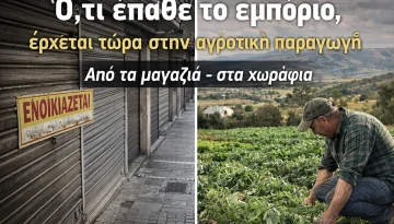 Ό,