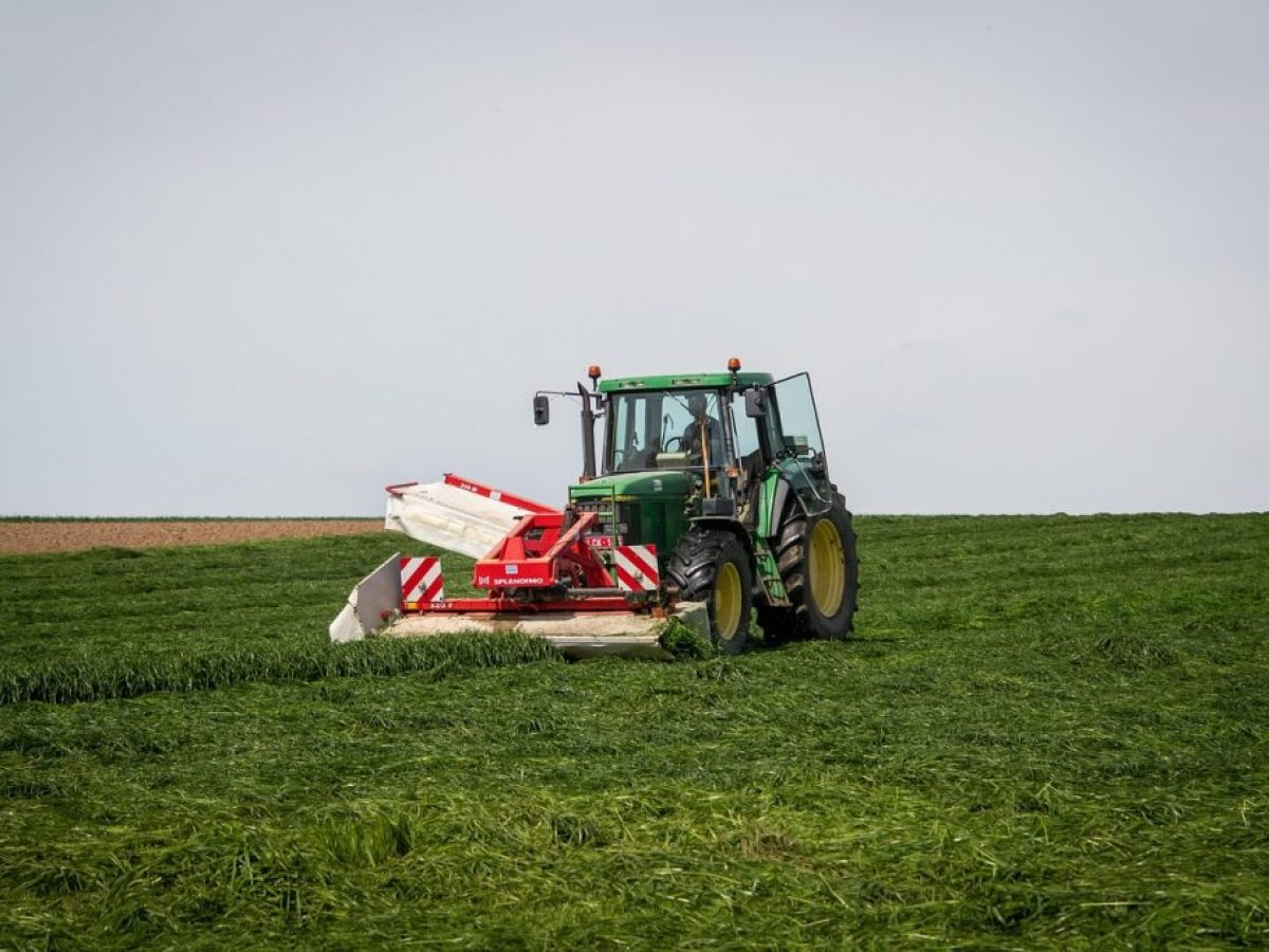 ΥΠΟΙΚ – ΑΑΔΕ: Οι ενισχύσεις από το Mέτρο 23 δεν προσμετρώνται στο όριο μετάταξης στο κανονικό καθεστώς ΦΠΑ – Διαγράφονται και επιστρέφονται πρόστιμα