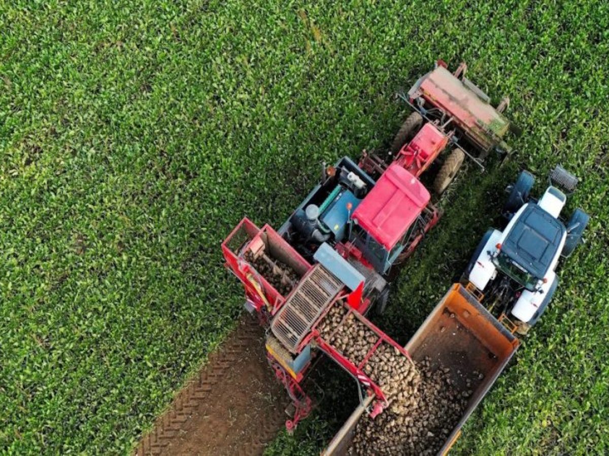 Στα 1,2 δισ. ευρώ τα χρήματα που ανακτήθηκαν για αχρεωστήτως καταβληθείσες ενισχύσεις σε παραγωγούς