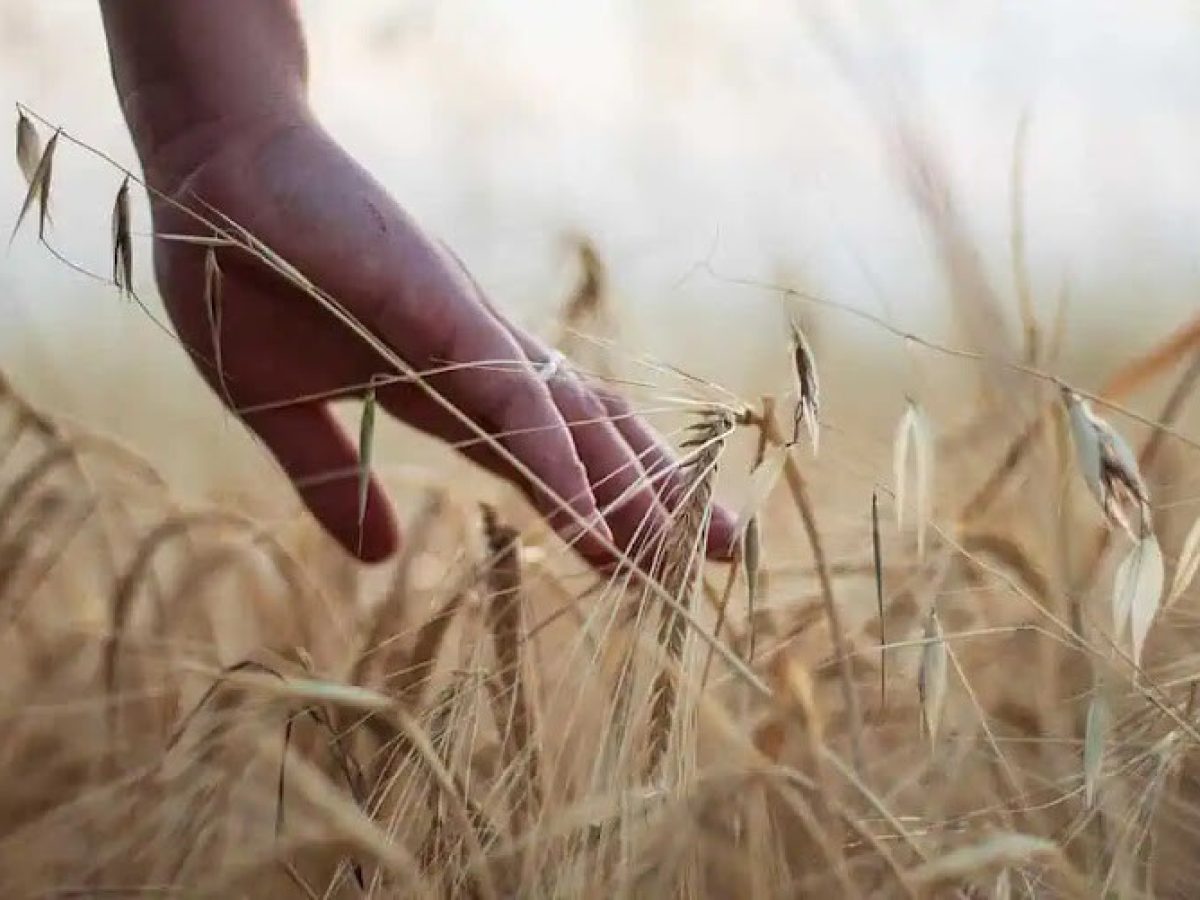 Το αγροδιατροφικό και η υπόσταση της χώρας