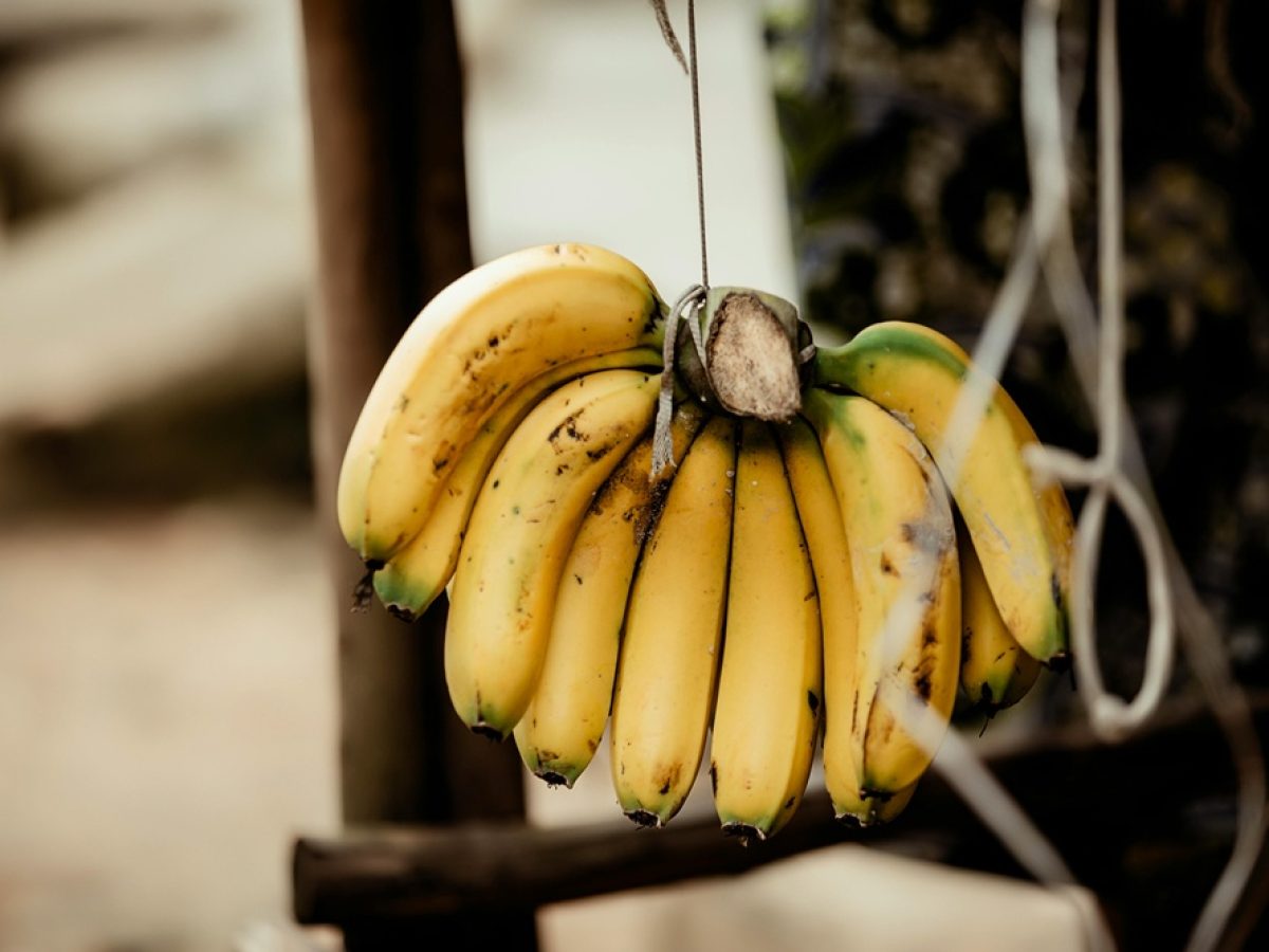 Νέο μοντέλο για τις λαϊκές αγορές