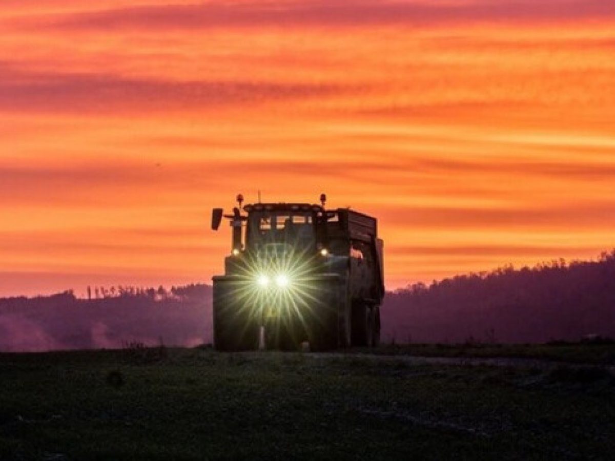 Mercosur και το νέο αγροτικό τοπίο: Πώς αλλάζει το μέλλον της παραγωγής στην Αχαΐα
