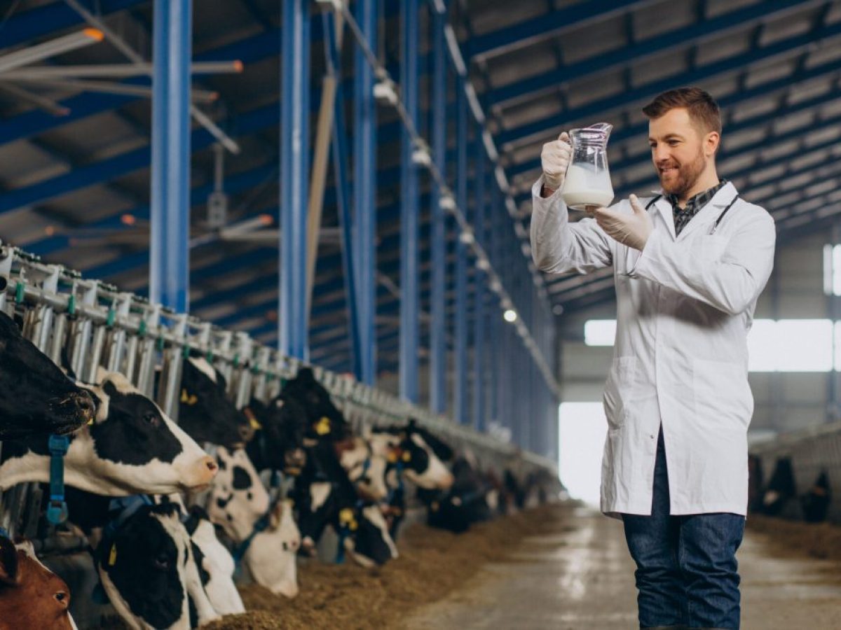 Οι εξαγορές που ανατρέπουν τις ισορροπίες στην ελληνική γαλακτοβιομηχανία