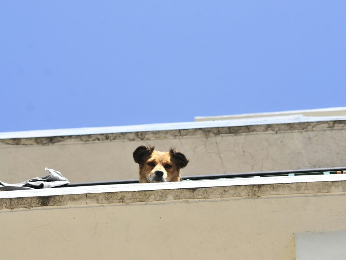 Ανακαίνιση σπιτιού με επιδότηση 2026: Ποιοι δικαιούνται έως €36.000