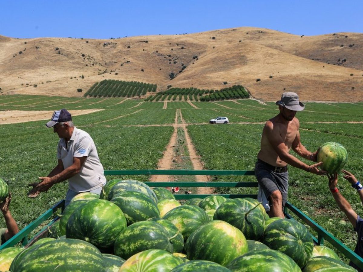 Ρεκόρ απορρόφησης για το Πρόγραμμα Αγροτικής Ανάπτυξης 2014-2022 με 7,99 δισ. ευρώ – Υπερκάλυψη 102,1% και ιστορικές επιδόσεις