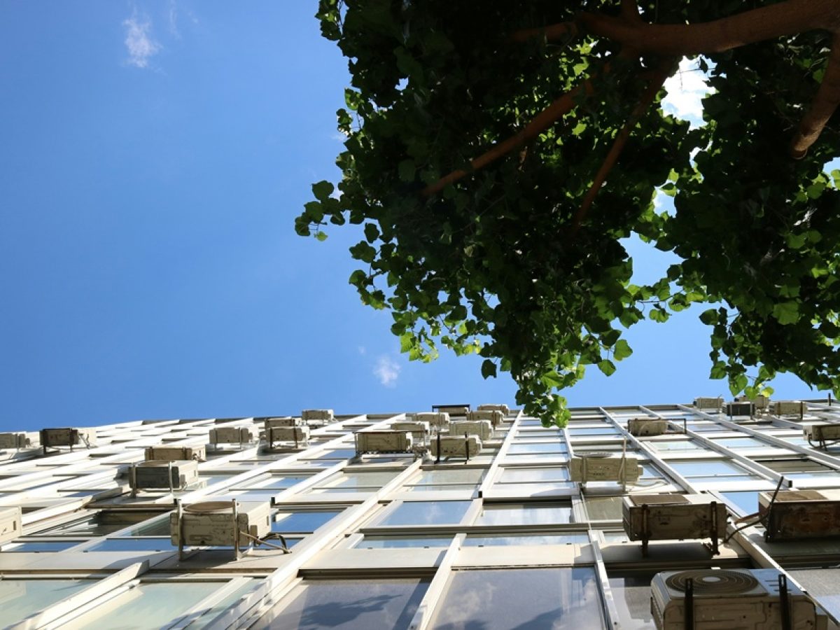 Έλεγχοι για φοροδιαφυγή: Στο 34,2% η παραβατικότητα το 2025