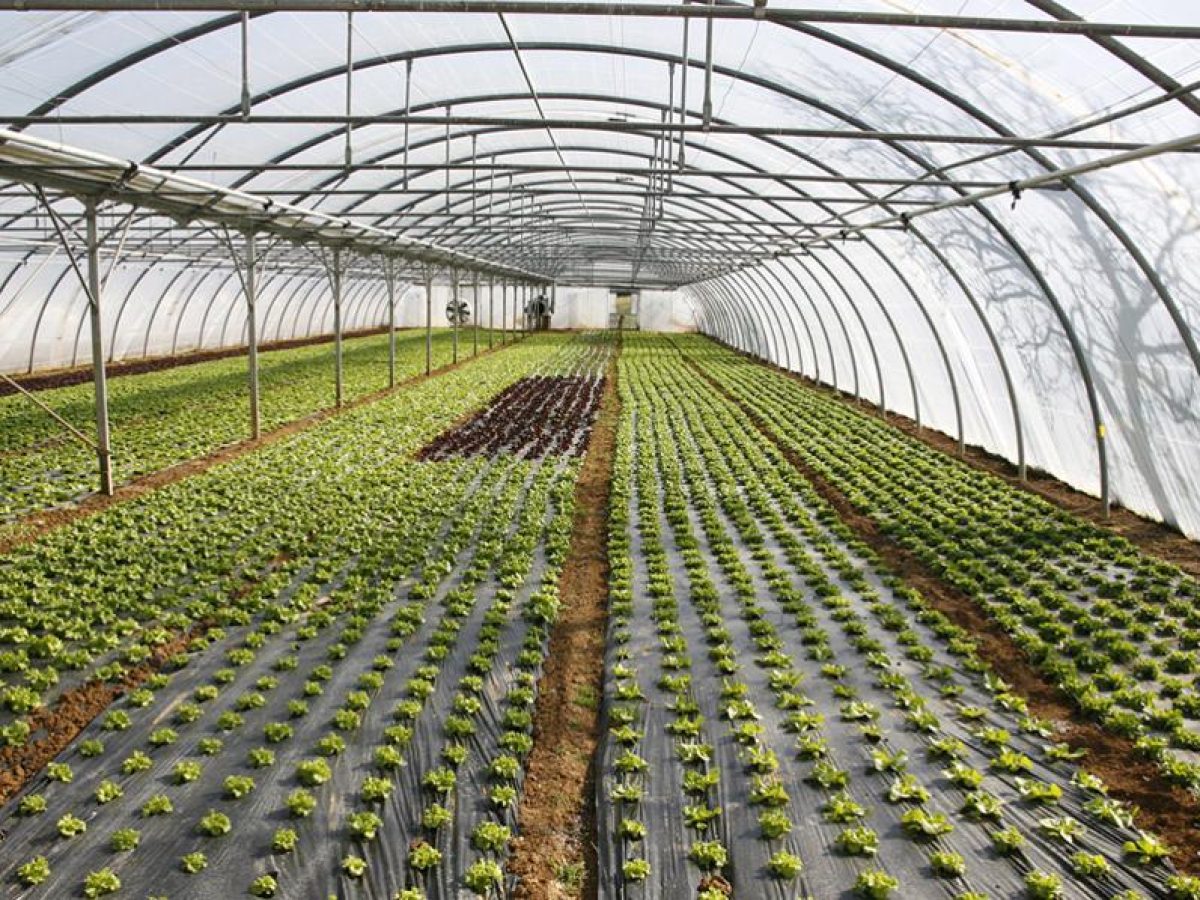 Προχωρά η ultra-clima επένδυση 127 εκατ. ευρώ στην Πτολεμαΐδα