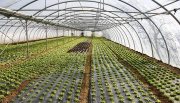 Προχωρά η ultra-clima επένδυση 127 εκατ. ευρώ στην Πτολεμαΐδα