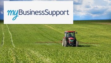 myBusinessSupport: Εκ νέου άνοιγμα της πλατφόρμας για διορθώσεις