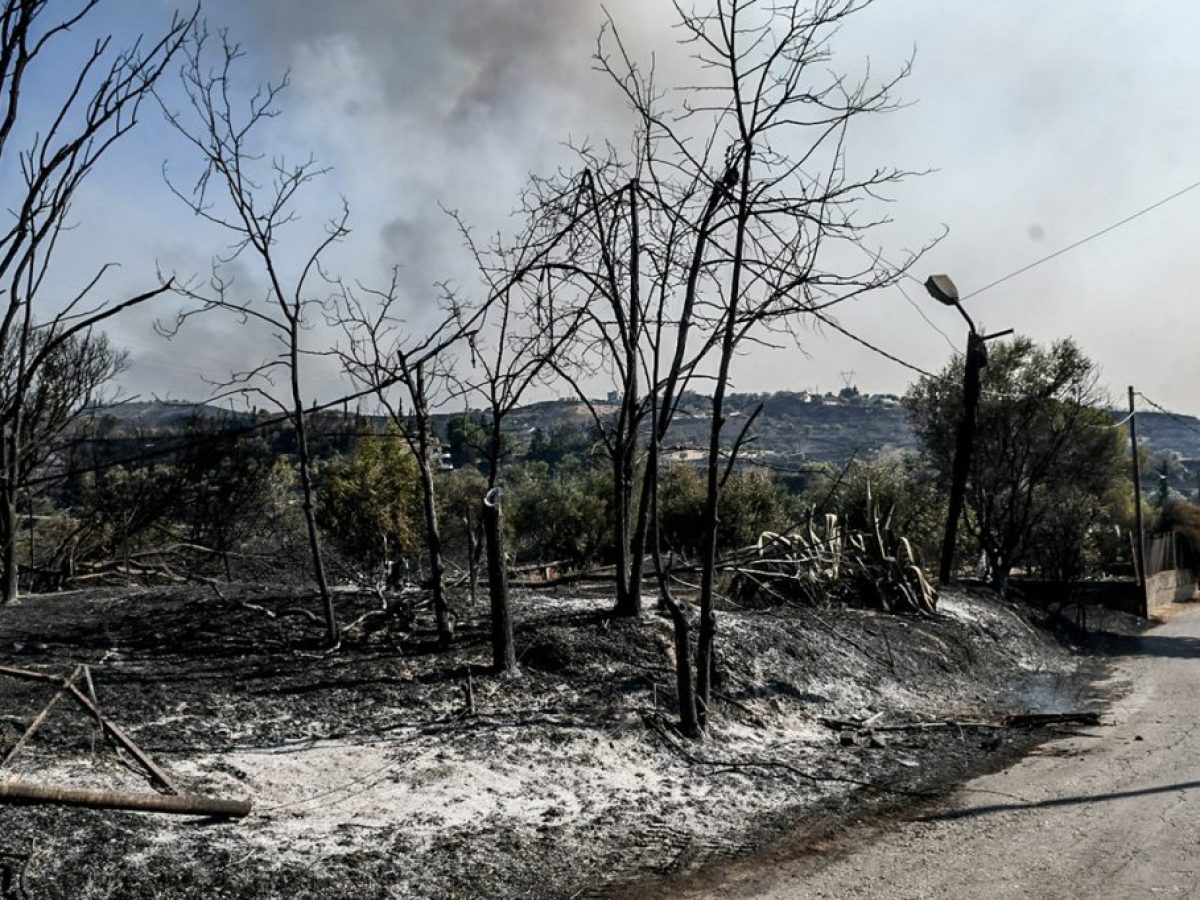 Άνοιξε η πλατφόρμα myBusinessSupport για τους πυρόπληκτους