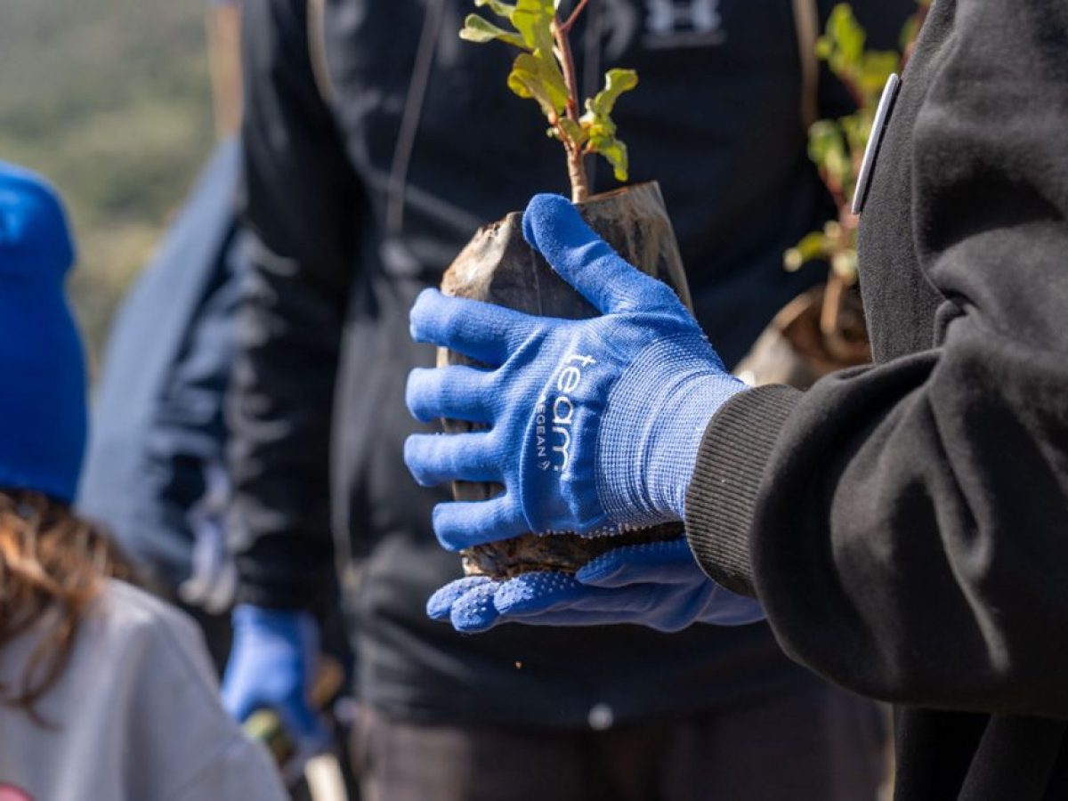 Εθελοντές-εργαζόμενοι της AEGEAN γιόρτασαν την αγάπη διαφορετικά, με δενδροφύτευση στον Υμηττό