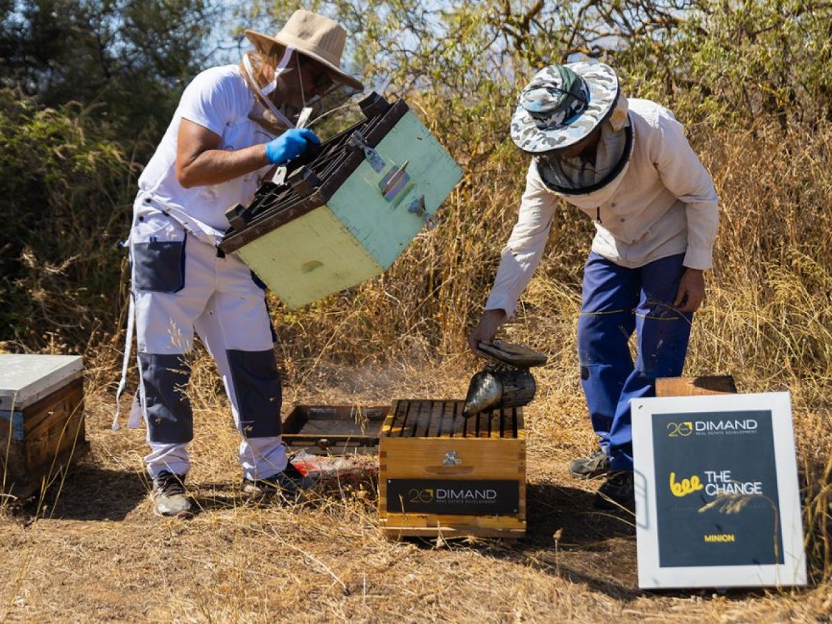 Η DIMAND φέρνει τις κυψέλες στην καρδιά της πόλης – 30.000 μέλισσες στην ταράτσα του ΜΙΝΙΟΝ