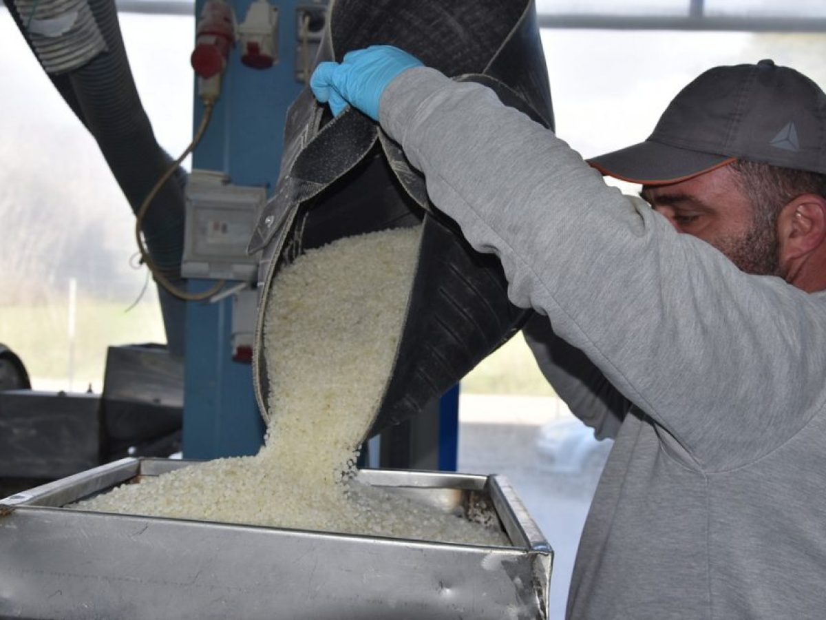 Η μαστίχα Χίου «τονώνει» την οικονομία: Πάνω από 20 εκατ. ευρώ στους παραγωγούς έως τον Μάιο