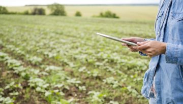 ΑΑΔΕ: H προθεσμία για διορθώσεις στα “κίτρινα” αγροτεμάχια της ΕΑΕ 2025