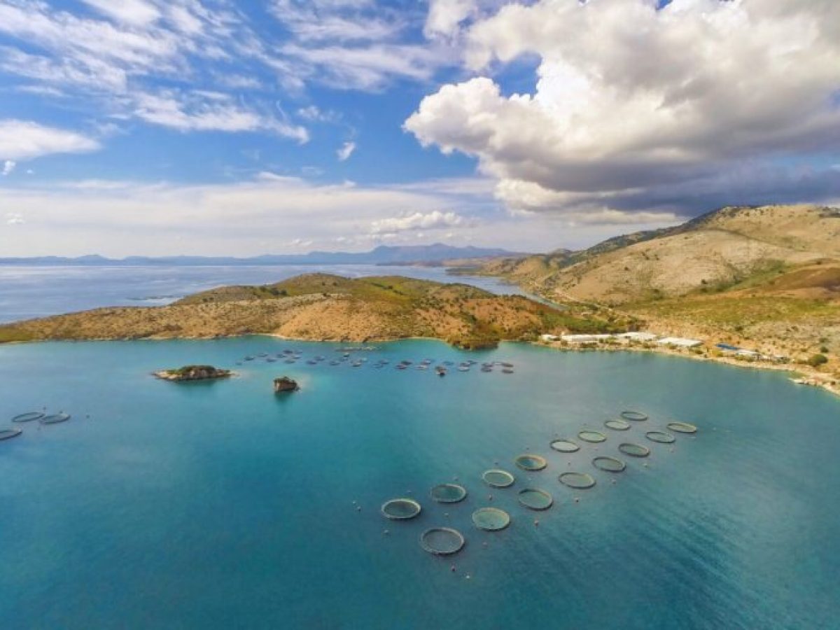 Avramar: Αύξηση κεφαλαίου 235 εκατ. από την Cooke πετάει το “μπαλάκι” στις τράπεζες μετά το deal με την Aqua Bridge