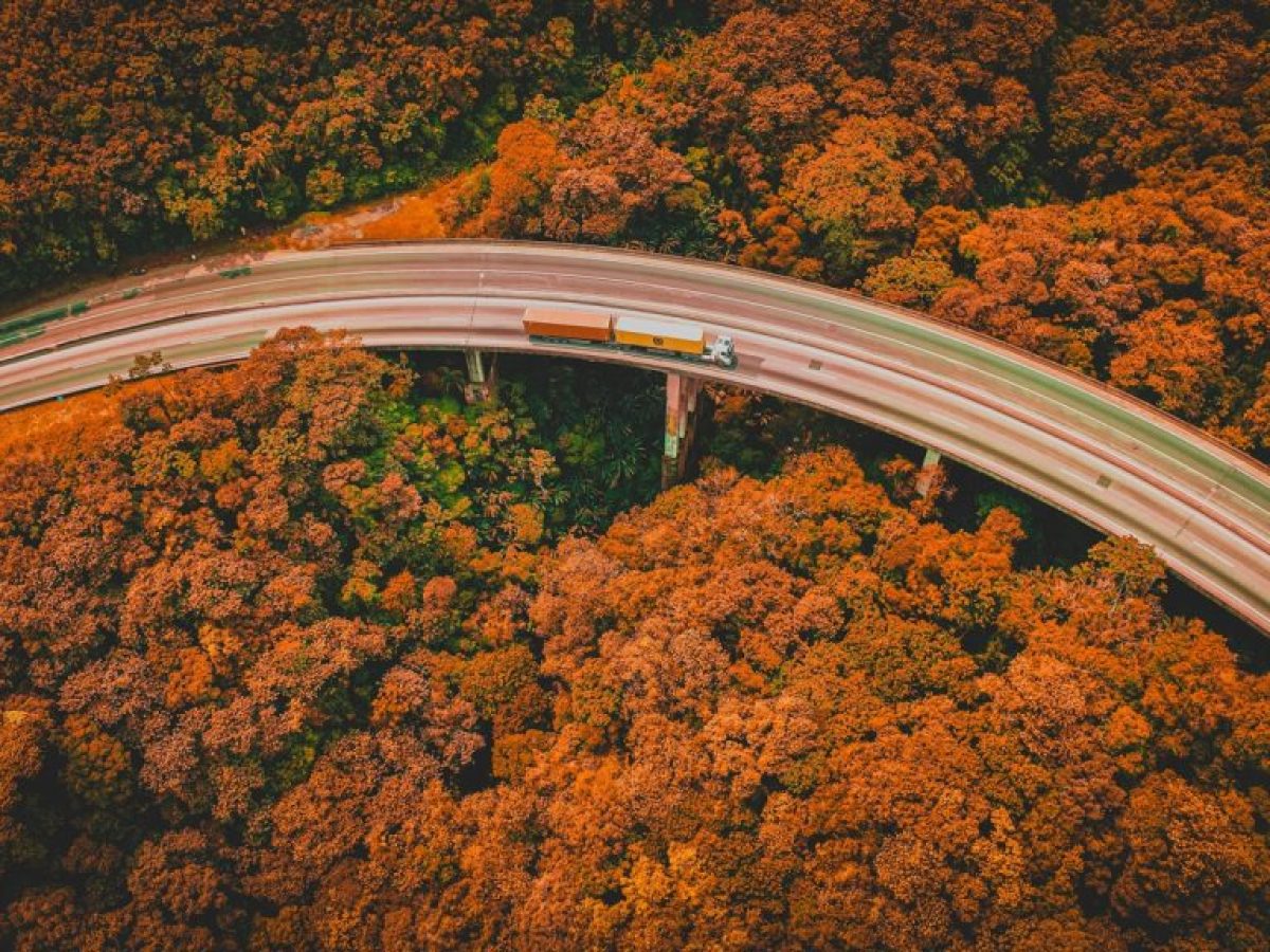 Ε65 Τρίκαλα – Εγνατία παράδοση: Αντίστροφη μέτρηση για τον νέο κάθετο άξονα