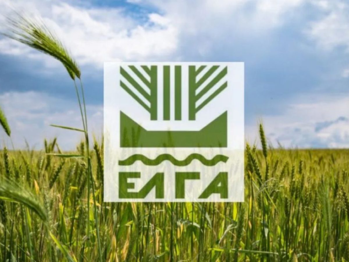 Καταβολή 18,7 εκατ. ευρώ από τον ΕΛΓΑ σε 8.648 παραγωγούς για ζημιές του 2025