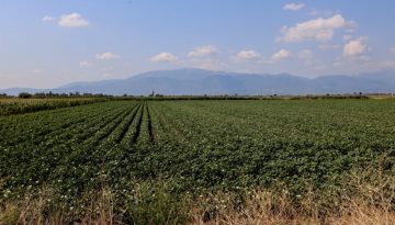 Ο ΕΛΓΑ καταβάλλει 18,7 εκατ. ευρώ για αγροτικές ζημιές του 2025