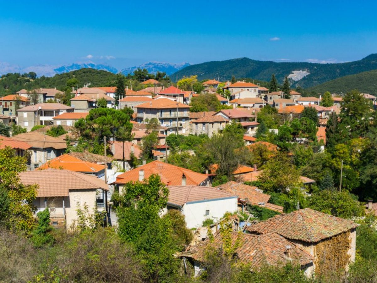 ΕΤΑΔ: Ηλεκτρονικός διαγωνισμός για την αξιοποίηση του «Ξενία Βυτίνας»