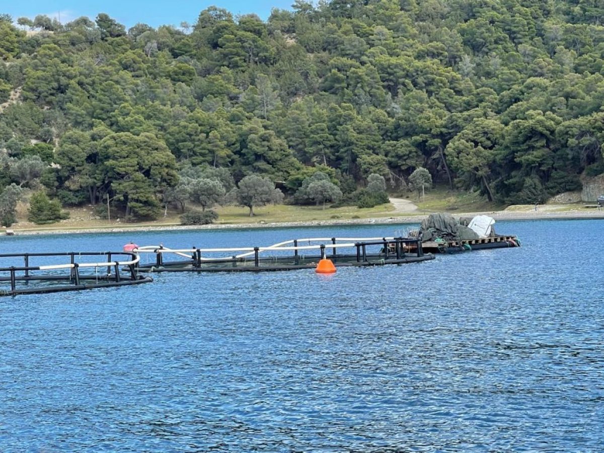 Οι Καναδοί της Cooke εξαγόρασαν τη μητρική Avramar στην Ισπανία
