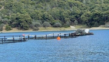 Οι Καναδοί της Cooke εξαγόρασαν τη μητρική Avramar στην Ισπανία