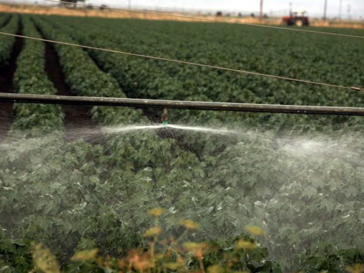 ΑΑΔΕ: Άνοιξε το σύστημα υποβολής της Ενιαίας Αίτησης Ενίσχυσης – Διορθώσεις 2024 και 2025 έως τις 27 Φεβρουαρίου