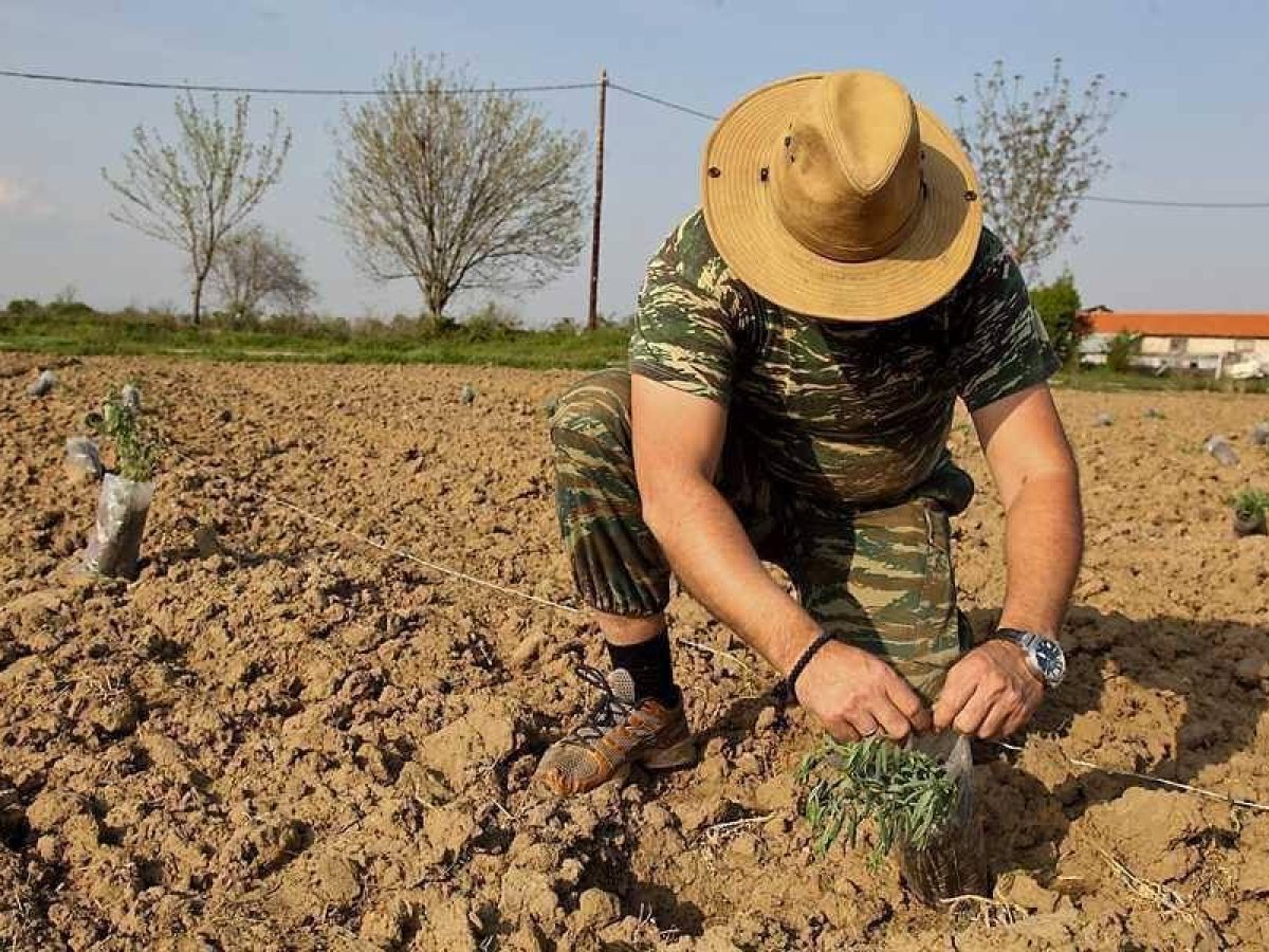 Αναδρομικά από 15/3 η επιδότηση 15% στα λιπάσματα
