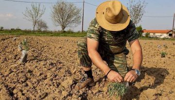 Αναδρομικά από 15/3 η επιδότηση 15% στα λιπάσματα