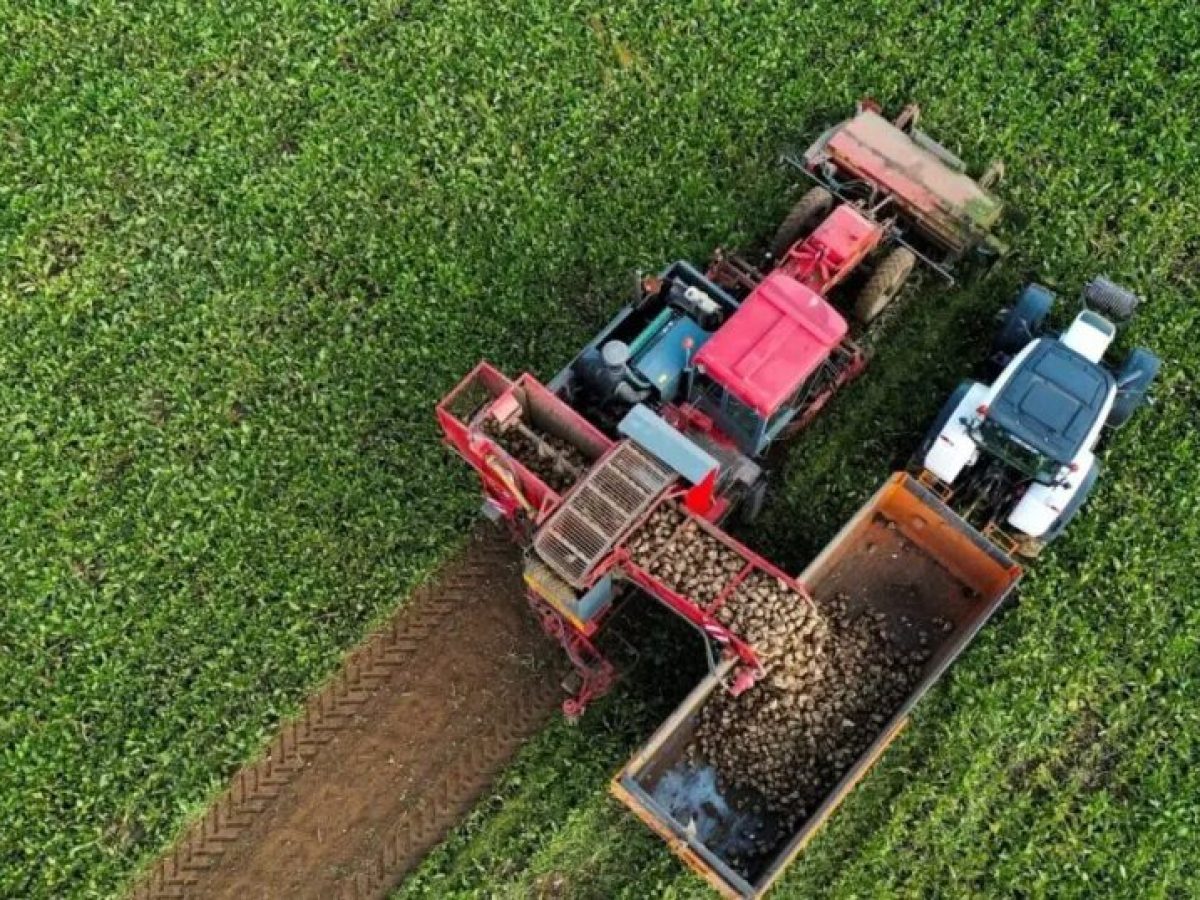 Παράταση ζητάει η ΕΘΕΑΣ για τα έργα του Ταμείου Ανάκαμψης, απαιτείται περισσότερος χρόνος για τη σύναψη δανείων