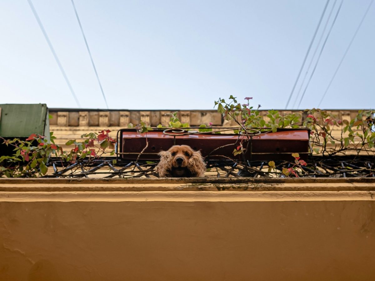 Σε πόσες δόσεις πληρώνεται ο ΕΝΦΙΑ: Έρχονται τα νέα εκκαθαριστικά